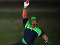 Joc Cricket: Fielder's Challenge  on-line