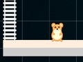 Joc Hamster inteligent: Par și impar  on-line