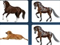 Joc Problemă cu memoria animalelor de companie  on-line