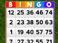 Joc Bingo on-line