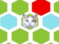 Joc Trap Cat  on-line