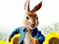 Joc Peter Rabbit: Probleme în labirint  on-line