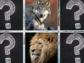 Joc Memory Match Animale Jungle  on-line