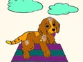 Joc Animale de companie  on-line