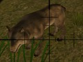 Joc Vânătorii de animale  on-line