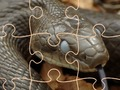 Joc Șerpi misterioși: puzzle  on-line