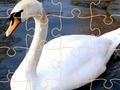 Joc Swan Puzzle Challenge on-line