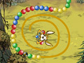 Joc Zuma Kangaroo  on-line
