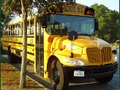 Joc Scoala de autobuze Puzzle  on-line