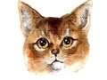 Joc Povestea Abyssinian Puzzle  on-line