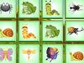 Joc Găsiți insecta  on-line