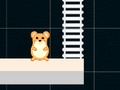 Joc Ora de hamster inteligent  on-line