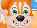Joc Dentist drăguț al cățelușului  on-line