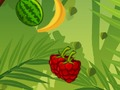 Joc Cleaver tropical  on-line