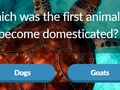 Joc Trivia animală on-line