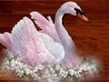 Joc Puzzle Păsări Dragoste  on-line