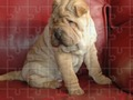 Joc Jigsaw puzzles clasic on-line