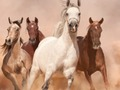 Joc Puzzle de cai  on-line