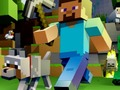 Joc Minecraft Stelele ascunse  on-line