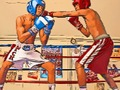 Joc Boxeri în Arena  on-line