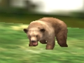 Joc Vânătorul de animale Safari  on-line