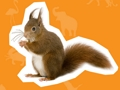 Joc Casa Animalelor  on-line