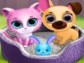 Joc Prieteni drăguți pentru animale de companie  on-line
