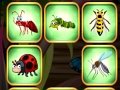 Joc Insecte care se potrivesc  on-line