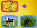 Joc Ce mănâncă animalele?  on-line