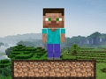 Joc Supraviețuirea Minecraft  on-line