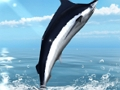 Joc Pescuitul pe mare Azure on-line