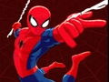 Joc Meciul Spider-Man 3 on-line