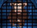 Joc Salvare baboon on-line