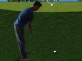 Joc Flash Golf 3D  on-line