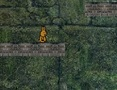 Joc Bunny Adventure  on-line