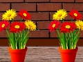 Joc Casa Flori de Evadare  on-line