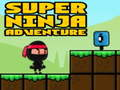 Joc Super Adventure Ninja on-line