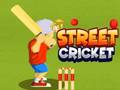 Joc Cricket de stradă on-line
