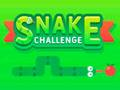 Joc SNAKE Challenge on-line