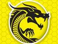 Joc Furia Kung Fu  on-line