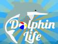 Joc Viața Delfinului  on-line