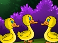 Joc Duck Land Escape 2 on-line