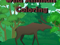 Joc Colorat animale sălbatice  on-line
