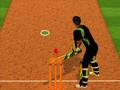 Joc Provocarea baterii de cricket  on-line