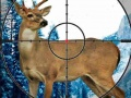 Joc Sniper Stag Hunter on-line