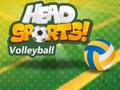 Joc Head Sports Volei  on-line