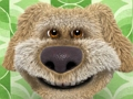 Joc Vorbind Ben Jigsaw Puzzle Collection on-line
