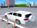 Joc Parcare Prado  on-line