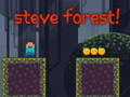 Joc Steve Forest on-line