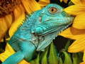 Joc Ultimate Puzzles Animale 6  on-line